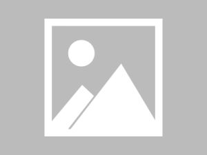 阿里云千问的模型怎么样？全面解析通义千问大模型能力